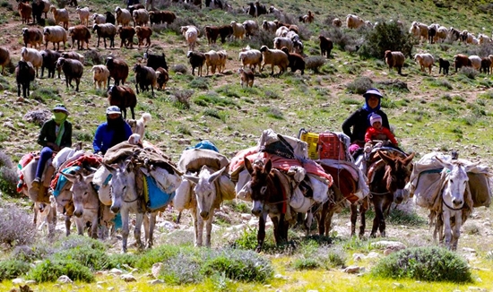 کوچ عشایر خراسان رضوی 